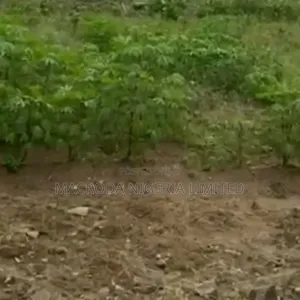 Land Available for Sale