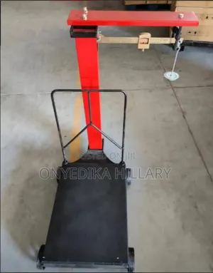 Motoking Scale
