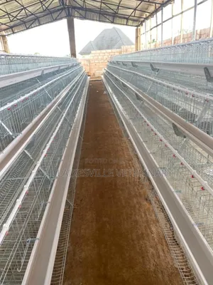 Farm Setup /Battery Cages Installations/