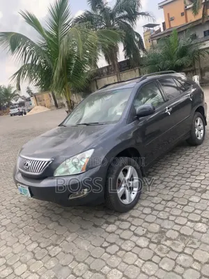 Lexus RX 330 2006 Gray