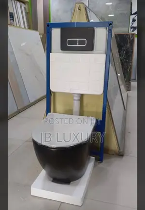 Black Concealed Toilet