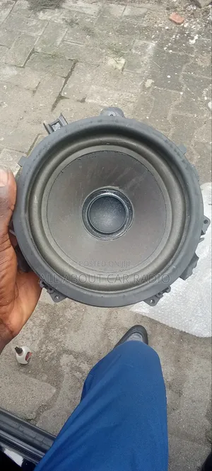 Car Speaker Repair