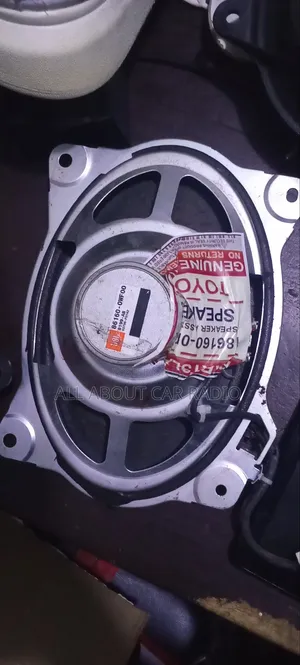Car Speaker Repair