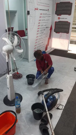 Professional Home & Office Cleaning Service In Lagos | Sofa, Carpet