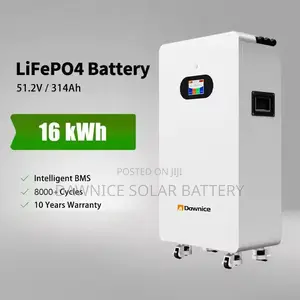 16kwh Battery (51.2v 314ah) for Efficient Home and Commercial Storage