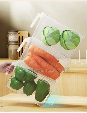 Refrigerator Food Storage Container