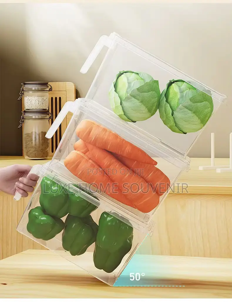 Refrigerator Food Storage Container