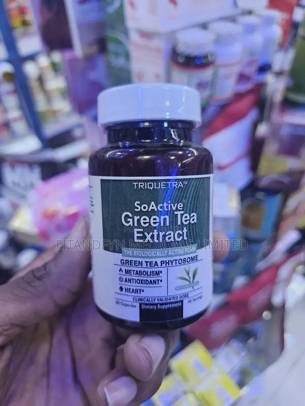 Green Tea Extract