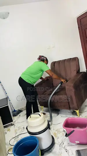 Sofa Solutions Cleaning Service