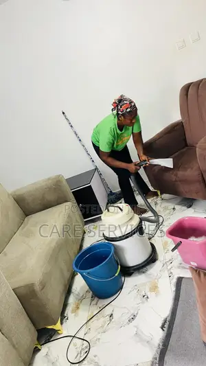Professional Furniture Settee Cleaning