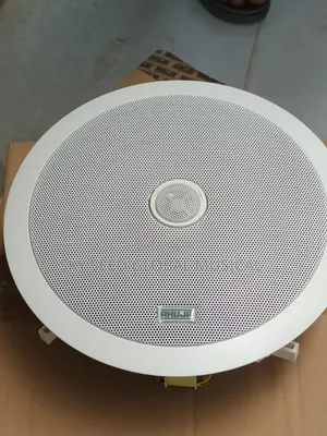 Original 40watts India Ahuja Ceiling Speaker