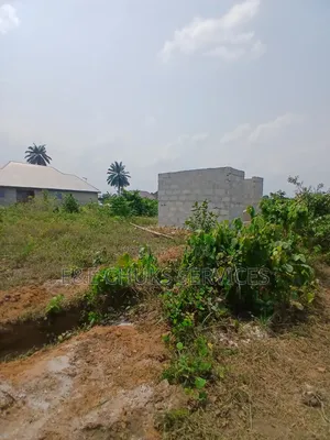 Buy and Build 1 Plot of Land for Saleat Eneka Igbo Etche