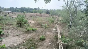 8plot of Land at Alatori After Olude