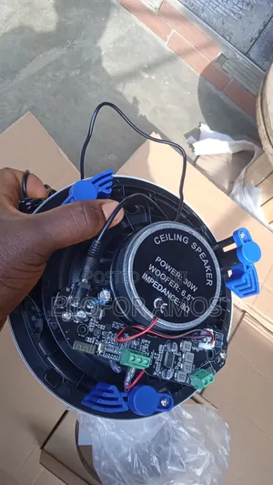 30w Bluetooth Celling Speaker