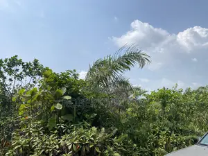 Hidden Gem