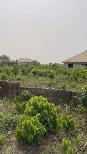 A Low Fenced With Gate 645 SQM Plot of Land at Olorunda.