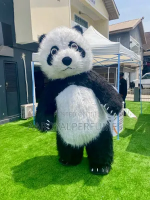Panda Costume