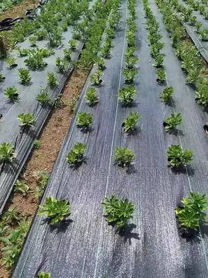 Weed Mat Fabrics