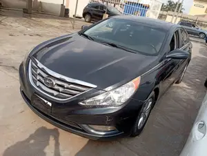 Hyundai Sonata 2011 Blue