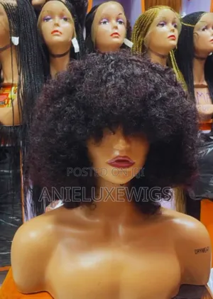 Afro Kinky Curly Bob Wig + Free Gift