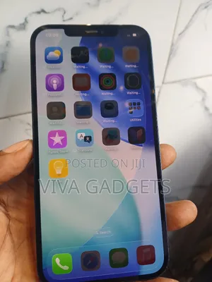 Apple iPhone 12 Pro Max 256 GB Blue