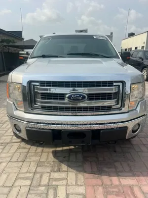 Ford F-150 FX4 2013 Silver