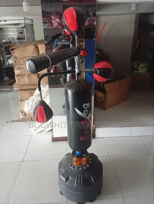 Freestanding Boxing Reflex Training Stand