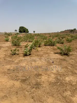 1000sqm Land for 3 Bedroom Block of Flats (6 Units) at Terra Verde