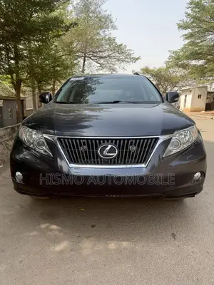 Lexus RX 350 2010 Gray