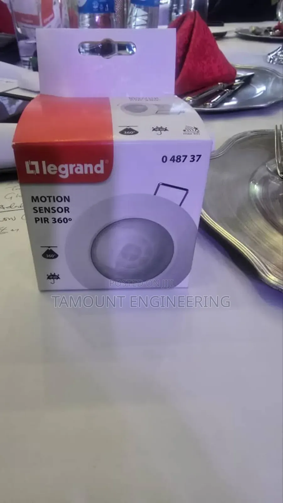 Llegrand Motion Censor