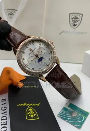 Poedagar Leather Men Wristwatch