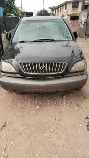 Lexus RX 300 2002 Gray