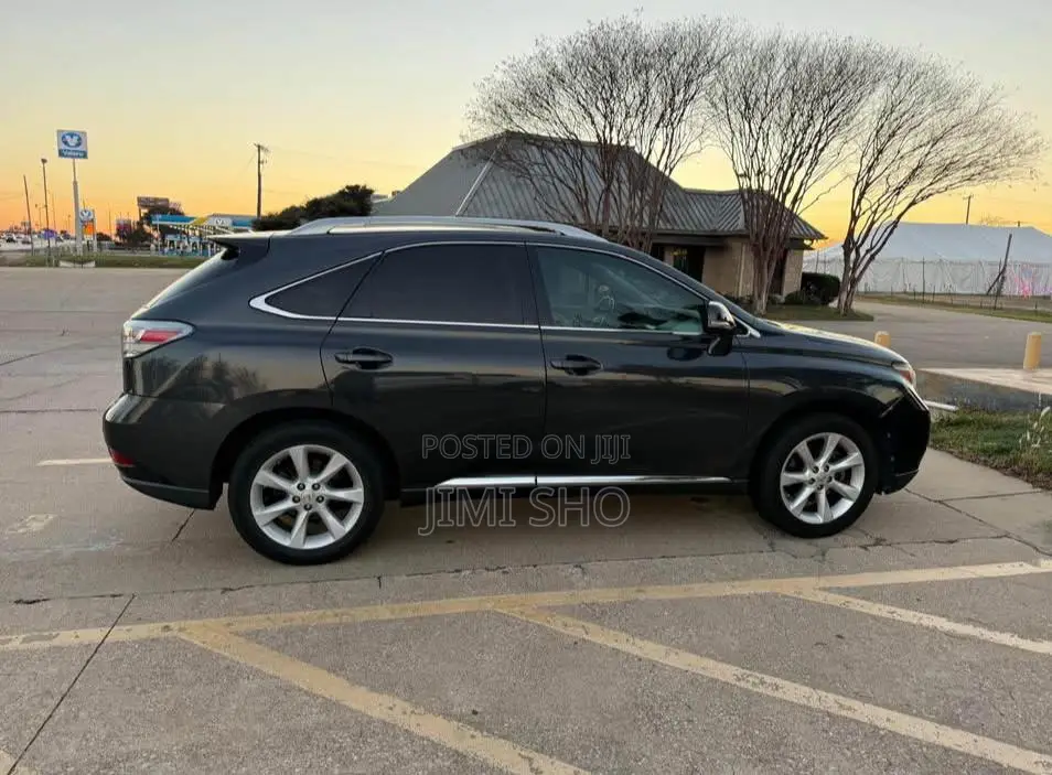 Lexus RX 2010 Gray