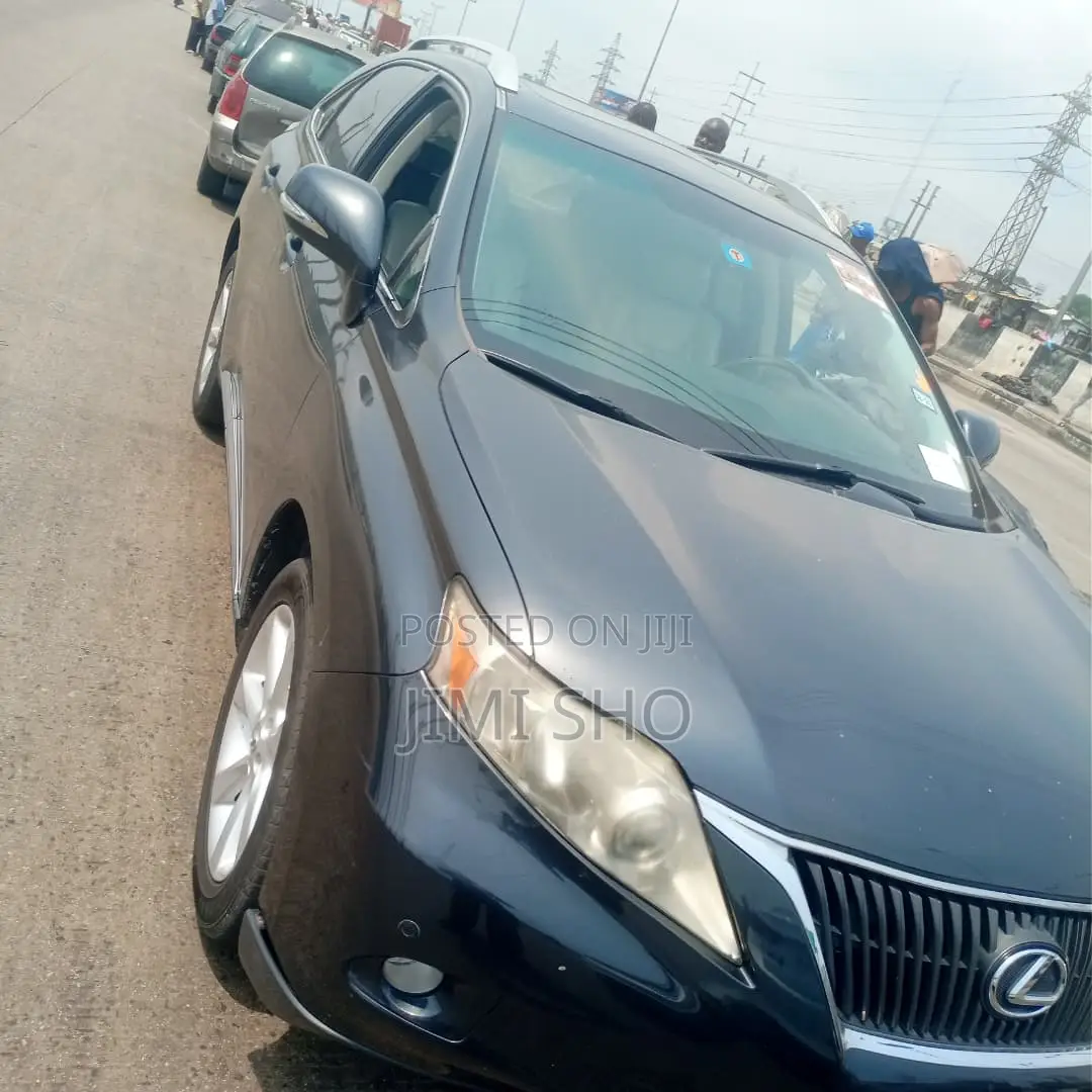 Lexus RX 2010 Gray