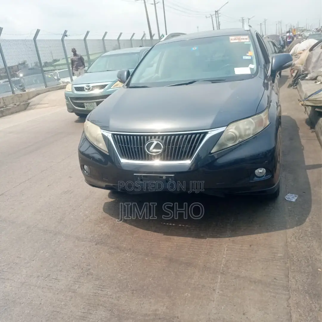 Lexus RX 2010 Gray