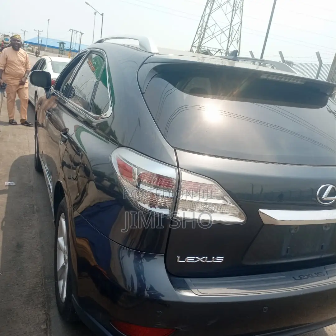 Lexus RX 2010 Gray