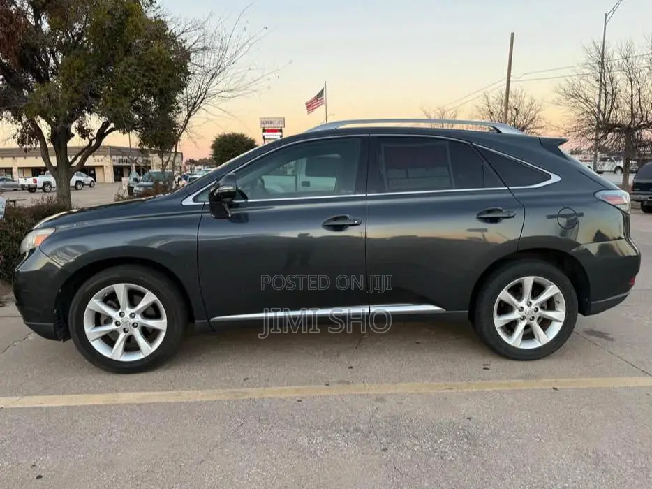 Lexus RX 2010 Gray