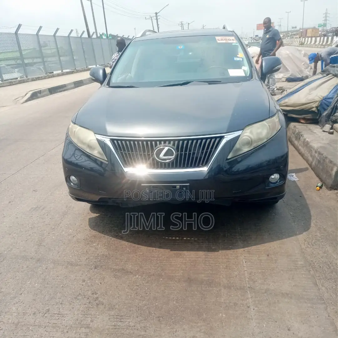 Lexus RX 2010 Gray