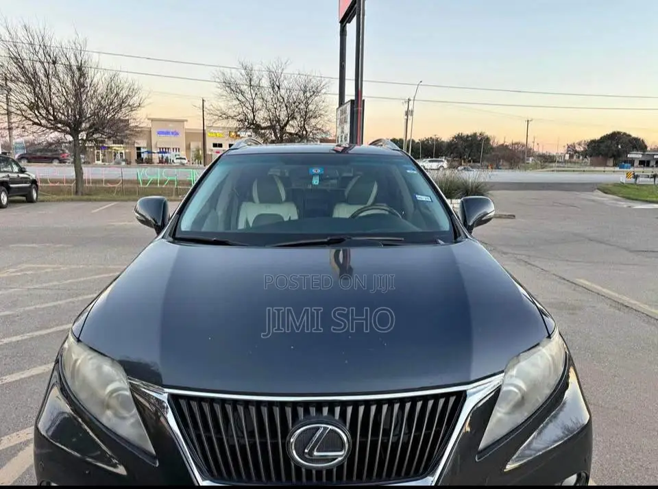 Lexus RX 2010 Gray