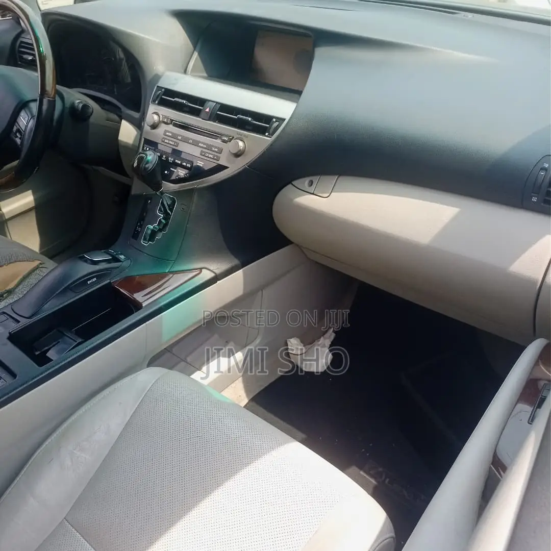 Lexus RX 2010 Gray