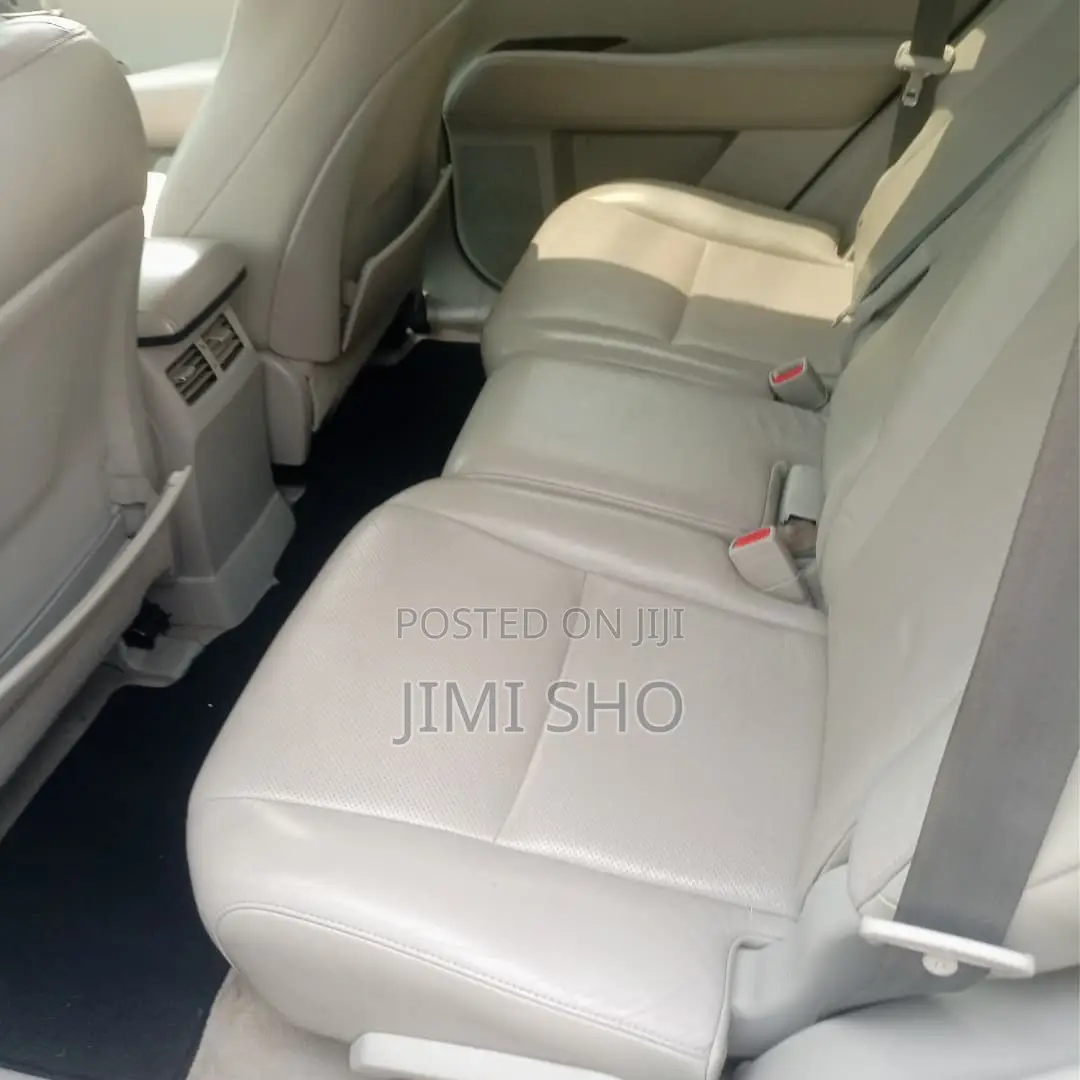 Lexus RX 2010 Gray