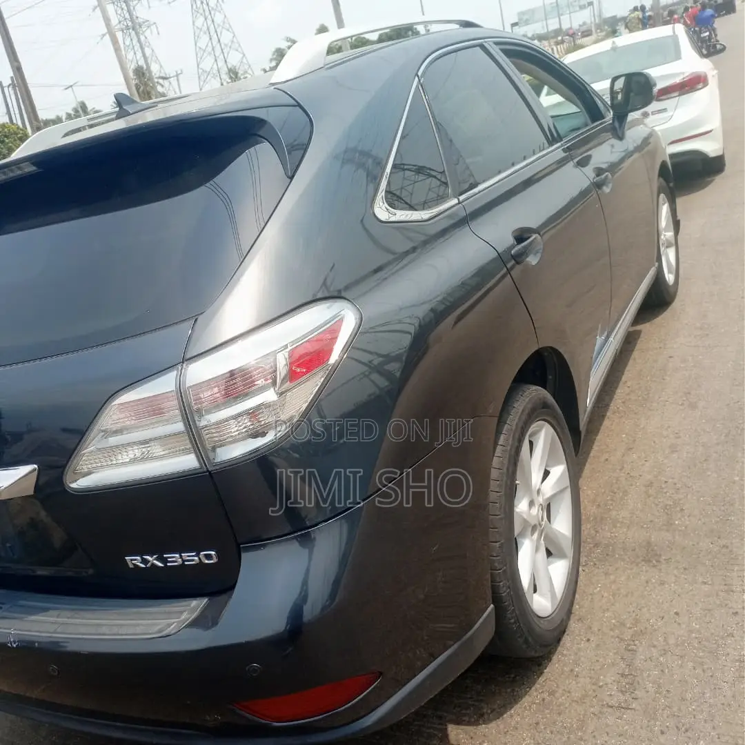 Lexus RX 2010 Gray