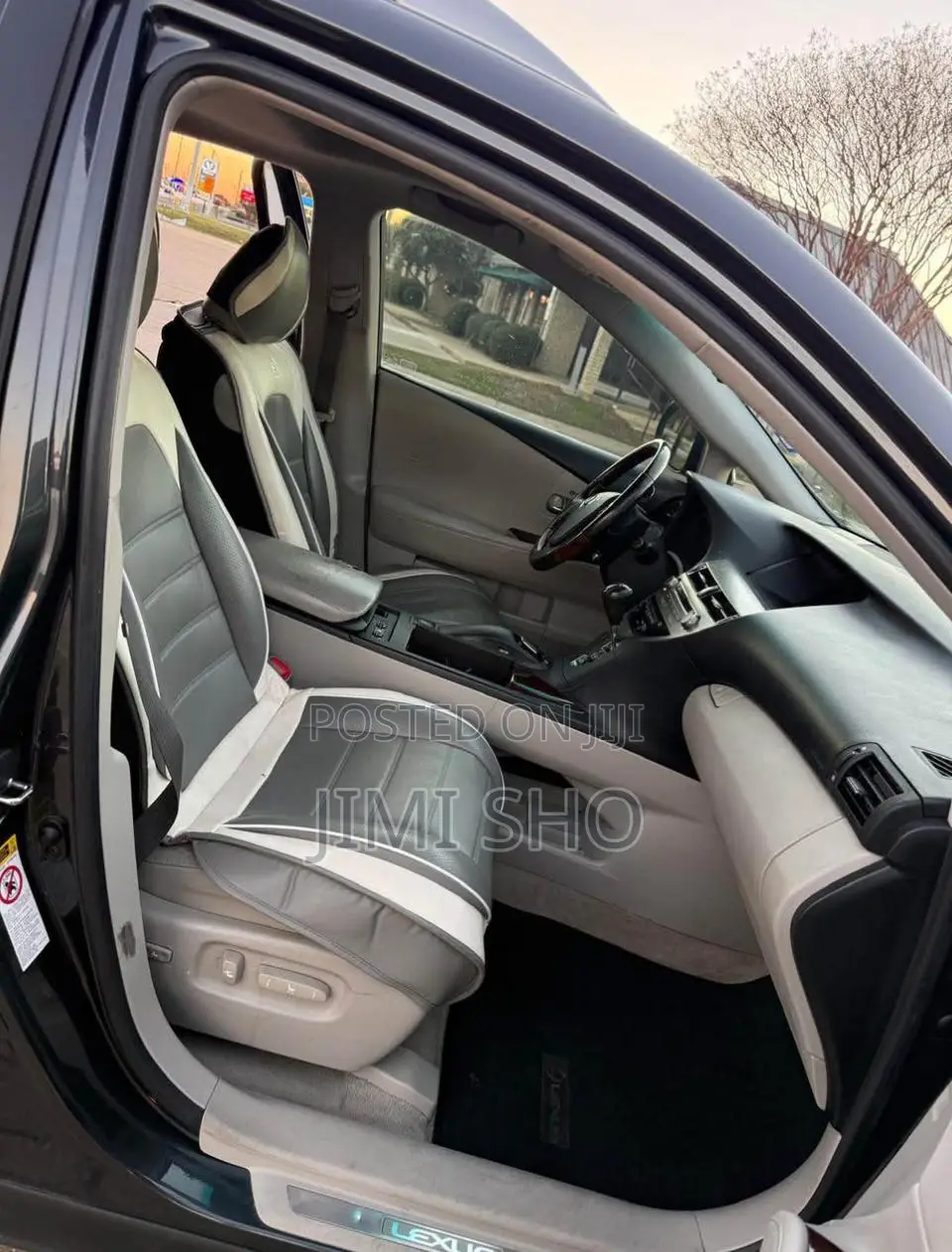 Lexus RX 2010 Gray