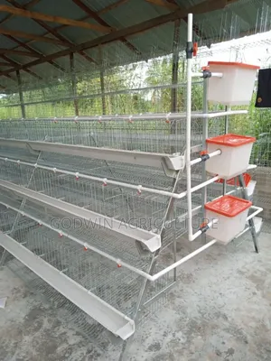 120birds Capacity Hot Deap Galvanized Battery Cage