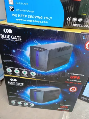 Bluegate 1.2kva Ups (Bg1230)