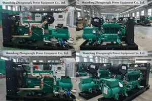Original Diesel Generator