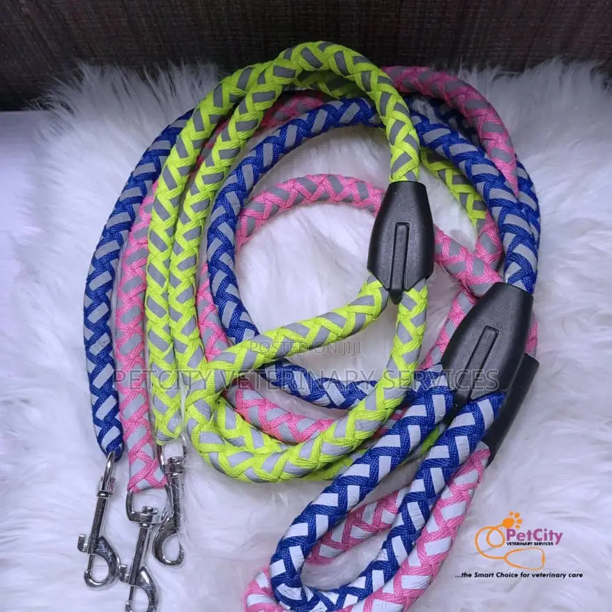 Pet Reflective Leash