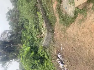 Half Plot of Land for Sale