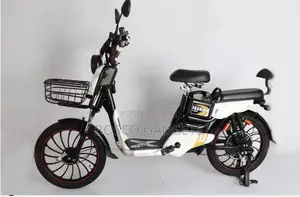 48v Electric Bike 2seater Large Tyre