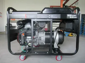 Firman Fpg18000tse 18kva